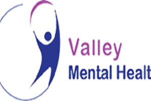 Valley Mental Health Artec