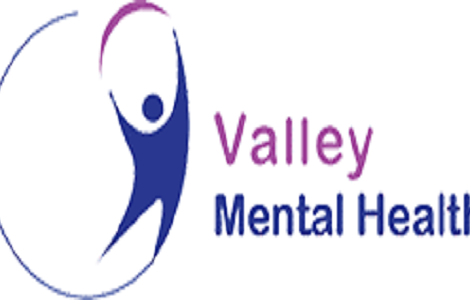 Valley Mental Health Artec