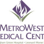 metrowest eldercare management