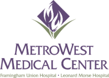 metrowest eldercare management
