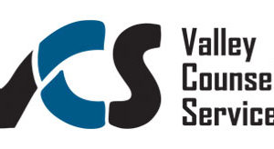 valley counseling services