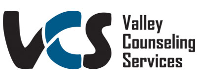 valley counseling services