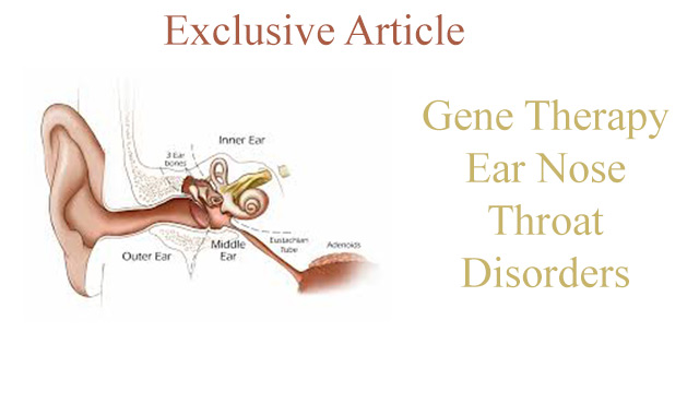 ear nose throat disorders