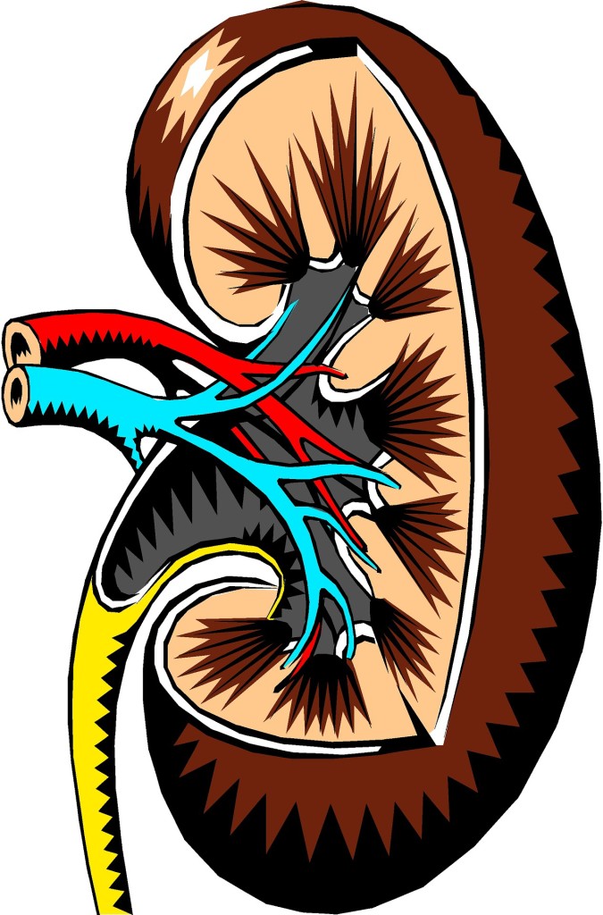 chronic kidney disease