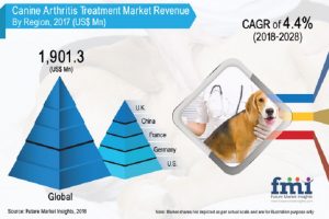 canine arthritis market