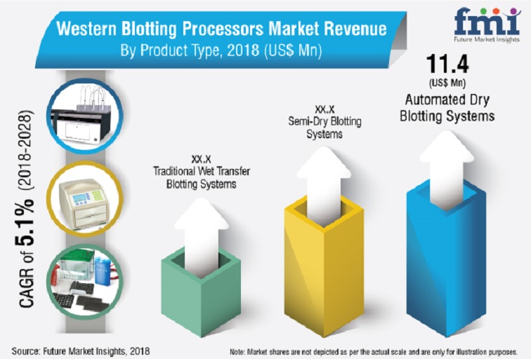 western blotting processors