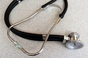 Sea invertebrate sheds light