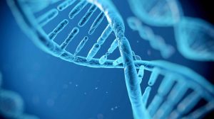 agrozen life sciences