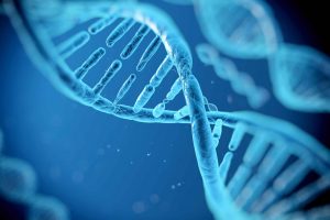 agrozen life sciences