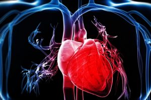 3 great heart healthy exercises