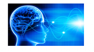 revenuexl's neurology emr