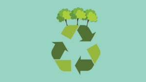 eco friendly products