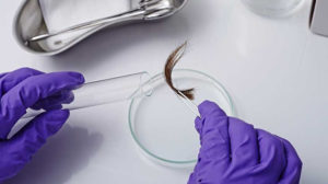 hair follicle drug test