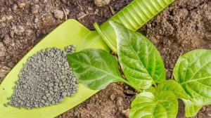 Bionematicides Market Size Is Projected To Touch Usd 209.1 Million By 2024