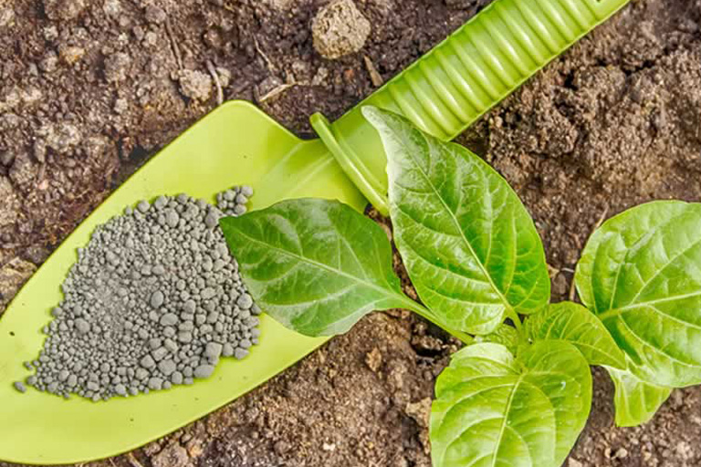 Bionematicides Market Size Is Projected To Touch Usd 209.1 Million By 2024