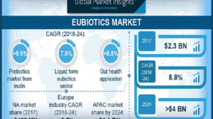 Eubiotics Market To Perceive Substantial Growth During 2024