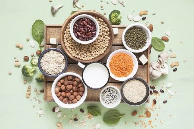Protein Ingredient Market To Perceive Substantial Growth During 2024