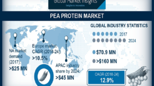 Pea Protein Market To Garner Sizeable Proceeds From Sport Supplement Sales Over 2018-2024, Rising Adoption Of Meat-Free Diet To Impel The Industry Growth