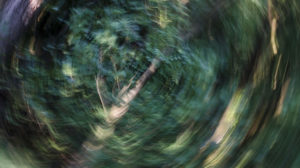 What Medical Conditions Can Vestibular Therapy Cure?