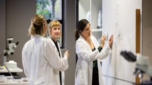 With info blocking rules, concerns for patient privacy, small practices