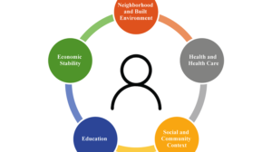 Addressing social determinants of health with data interoperability