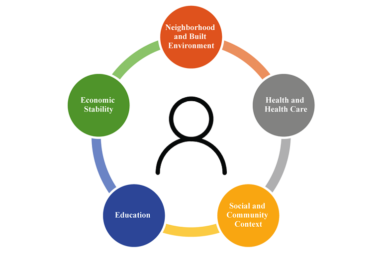Addressing social determinants of health with data interoperability