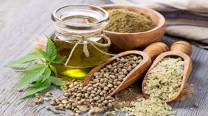 How Effective Is CBD Oil For Pets?