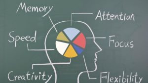 Things To Know About Modafinil And How Long Its Effects Last