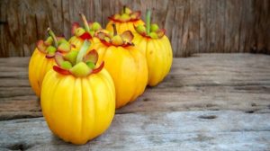 What are the Benefits of Garcinia Cambogia?