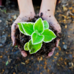 Frontiers in Alternative & Traditional Medicine