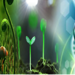 Agriculture & Horticulture