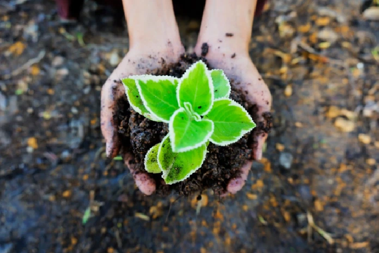 Agriculture Sciences and Farming Technology