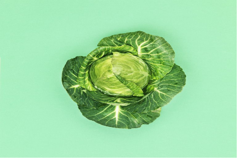 plant based diet benefits