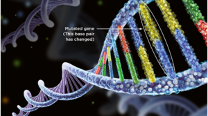 nanomaterials and nanotechnology