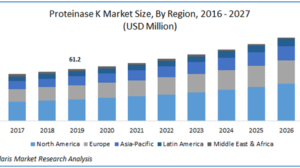 Proteinase K Market