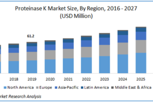 Proteinase K Market