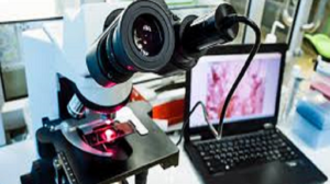digital pathology market
