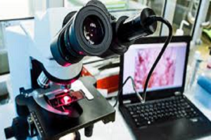 digital pathology market