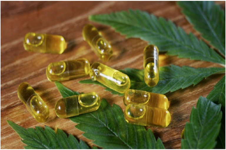 cbd oil products