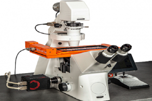 automated microscopy