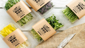 micro packaging market