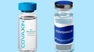 covid-19 vaccine