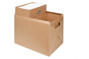 temperature controlled shipping