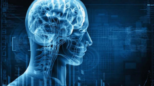 biomedical imaging system