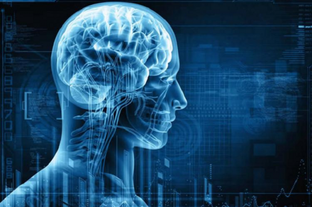 BridgeHead Enables Biomedical Imaging Centre’s Enterprise