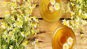 chamomile tea benefits