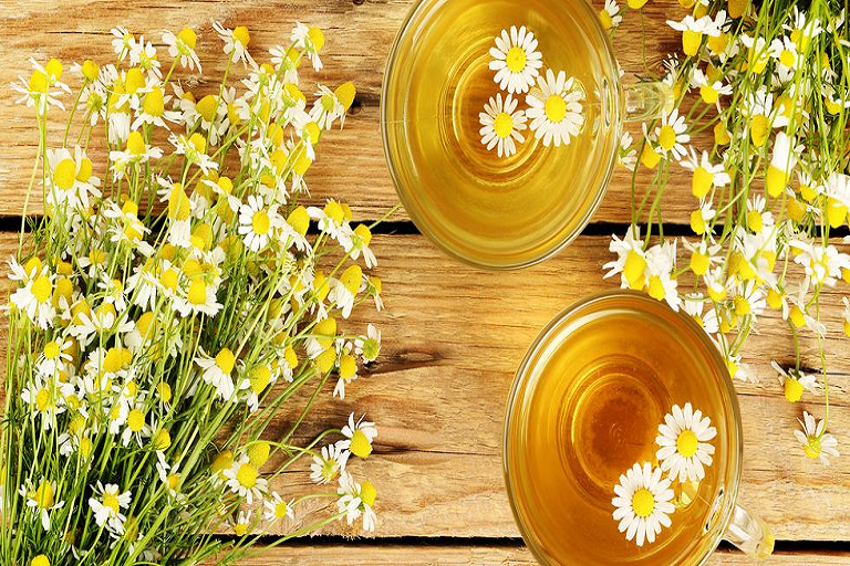 chamomile tea benefits