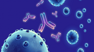 monoclonal antibodies
