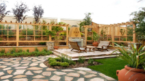 backyard planning ideas