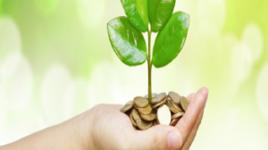 energy efficiency initiatives